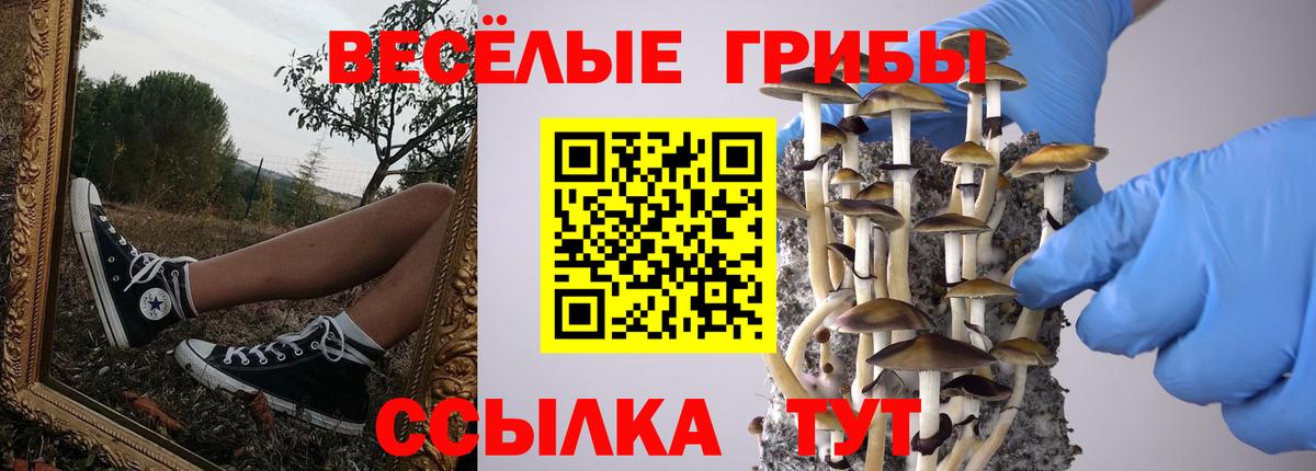 Галлюциногенные грибы Cubensis  Псилоцибиновые грибы мицелий  Лесосибирск  Вход с VPN 
